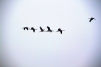 10 questions to discover digital iq